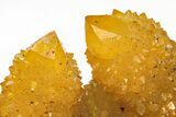 Sunshine Cactus Quartz Crystal Cluster - South Africa #212681-2